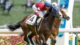 【アイルランドT予想】狙うべき人気順・枠・騎手とは!? 過去データから探るGIIアイルランドT