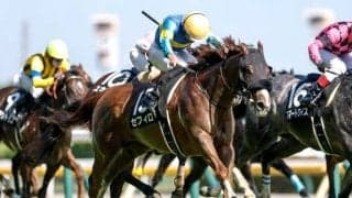 アイルランドTはスロー濃厚 決め手比べで浮上する超伏兵とは？