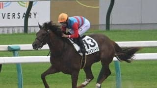 【京都6R新馬戦結果】ルヴァンスレーヴ産駒タマモフリージアが3馬身半差で快勝