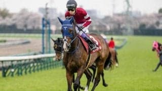 【アイルランドT・馬体重】ボンドガールは458kg(+2)、アドマイヤマツリは470kg(+16)