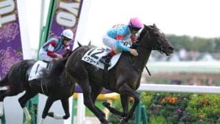 【新馬/東京5R】イクイノックス全妹 イクシードがデビューV