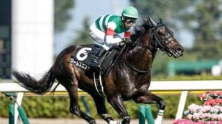 【スワンS予想】重賞メンバー相手に怯まないことが好走条件!? 前走のパフォーマンスが信用しきれない人気馬とは