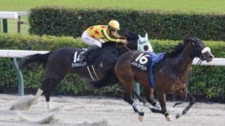 【テレビ静岡賞】ワイワイレジェンドが逃げ切る…ルメール騎乗、ノットファウンドはスタートで落馬