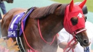 京都芝はまだ内＆前有利 スワンSはウインマーベルが軸に最適