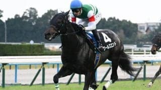 【AI予想・スワンS】非根幹距離への高い適性が好走の鍵！ 人工知能も前走内容や血統背景から距離適性の高さを重視