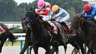 【スワンS】マイルCSへとつながる重要な一戦 近年は波乱傾向ながら複勝率100％の騎手に注目