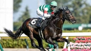 【スワンS予想】コース適性がポイントに 秋のマイル王を狙う実力馬が集結