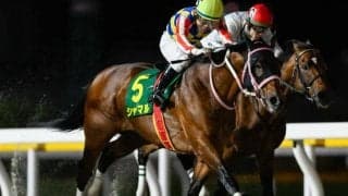 【盛岡・南部杯注目馬】岩手競馬の大一番 秋のダートマイル王者決定戦に16頭