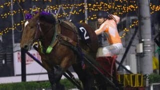 【ばんえい・ナナカマド賞】ホクセイイワキヤマ激戦制す！写真判定の末に重賞初V