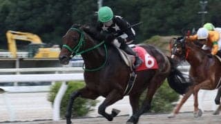 【高知・横浜特別】ブルーシンフォニー、40戦目で鮮やか5勝目…中団から突き抜け快勝