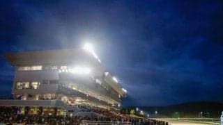 【盛岡・南部杯結果】ウィルソンテソーロが突き抜け4馬身差完勝！ GI級2勝目