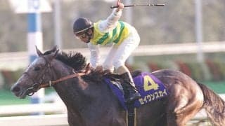 『ウマ娘』でも策士の一面を覗かせるセイウンスカイが大舞台で見せた、逃げ戦略の真骨頂