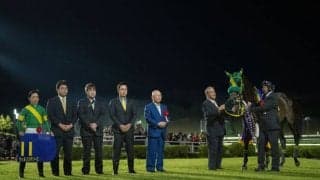 【南部杯】高木師「まだまだ伸びしろある」ウィルソンテソーロが交流G1・2勝目