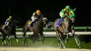 【南部杯】23億円超で売上レコードを記録