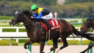 【秋華賞登録馬】カムニャック、エンブロイダリーなど22頭