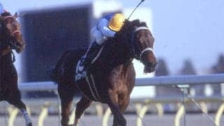 ダイワカーリアンの逃げ切り 富士Sが1600mになって25年