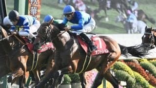 【スワンS】売上は77億5608万9200円で昨年より約38億円増加 今年から開催時期が2週早まる