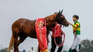 【サウジアラビアRC】売上は29億1044万8600円で昨年より約5.5億円増加