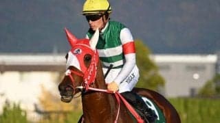 【先週のJRA抹消馬】重賞2勝馬ラヴェル、ダート5勝のキタノリューオーなど