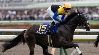 秋華賞は内枠奇数番には厳しいレース？ 1番枠と3番枠の勝利なし