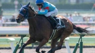 【秋華賞】フランケル産駒が5年ぶりのJRA・GI制覇なるか 3連勝中のカネラフィーナが一発狙う