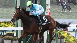 【AI予想・秋華賞】桜花賞馬とオークス馬は軽視!? 配当妙味十分な人工知能の本命候補とは