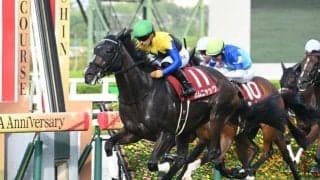 【秋華賞予想オッズ】カムニャックが予想1番人気
