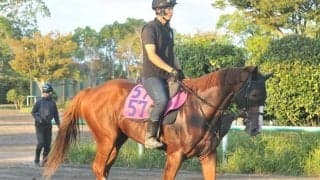 全兄は同厩舎で重賞5勝のトウシンマカオ 土曜東京で初陣迎えるトウシンラヴ/関東馬メイクデビュー情報