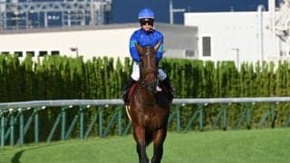 スワンSを制覇したオフトレイル 勝利の鍵は血統が示すコース適性にあり