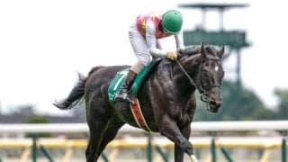 【東京HJ予想オッズ】ジューンベロシティが予想1番人気