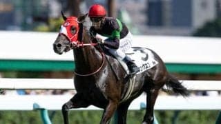 【菊花賞出走馬決定順】収得賞金900万円で6分の4抽選 フルゲート18頭に対して20頭登録