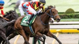 秋華賞で史上最多タイの同一馬主GI・4連覇なるか