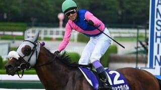 【天皇賞(秋)想定】メイショウタバルやタスティエーラなど15頭