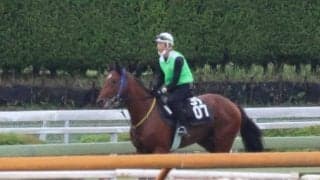 トンデトンデトンデなど、先週のゲート試験/栗東トレセンニュース