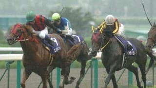 エイシンデピュティが23歳で死す 08年宝塚記念など重賞4勝