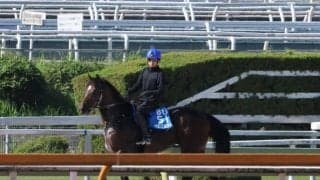 ラムジェットなど、先週の入厩情報/栗東トレセンニュース