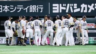 「聞き覚えある声だと思ったら…」　激闘CSで野球ファン発見「やっぱり良いな」