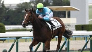 【秋華賞予想】3歳牝馬三冠の最終関門は枠次第？ AIは妙味ある一頭を指名