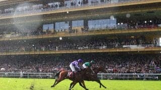 ジャパンカップとチャンピオンズカップに海外から計23頭が予備登録…愛ミニーホークなど