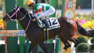 【新馬/京都6R】レシステンシア半弟 バルセシートがデビューV