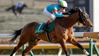 【秋華賞展望】オークスからの直行組エンブロイダリーが二冠目指す