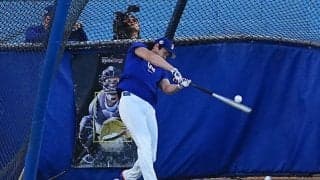 大谷翔平、異例の屋外フリー打撃　32スイングで14発…右翼屋根裏へ推定150m弾に記者騒然