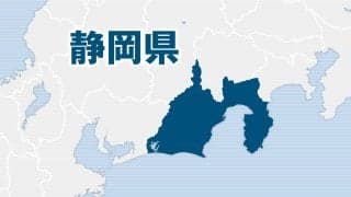 春高バレー静岡予選大会、25日開幕　男子は浜松修学舎、女子は富士見が軸か