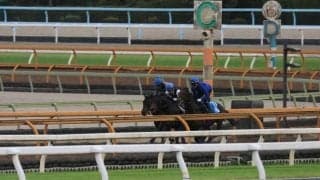 ショウヘイ＆ライトトラック、菊花賞1週前追い切り速報/栗東トレセンニュース