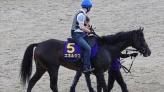 エネルジコ、菊花賞1週前追い切り速報/栗東トレセンニュース