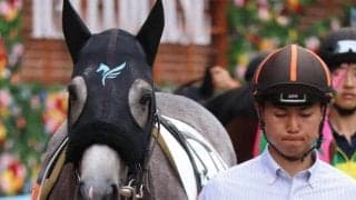 GI・2勝を挙げたカレンチャンの初孫 カレンショーが初ダートで初勝利なるか