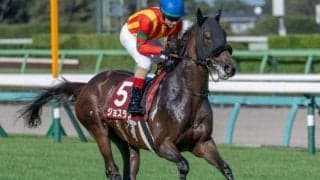 【秋華賞】全兄エフフォーリアに続くGI制覇へ ジョスランは栗東滞在で参戦だ