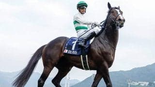 【富士S枠順確定】ソウルラッシュは4枠6番、ジャンタルマンタルは8枠14番