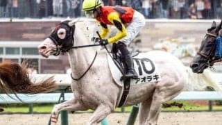 半兄はアオラキ 白毛のスノーエルヴァがデビュー勝ち狙う