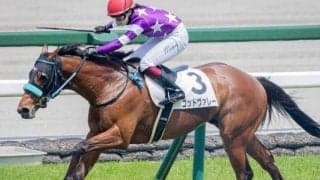 ソフトバンクの柳田悠岐選手 土日で愛馬2頭出しだ